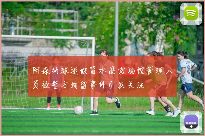 阿森纳球迷假冒水晶宫场馆管理人员被警方拘留事件引发关注