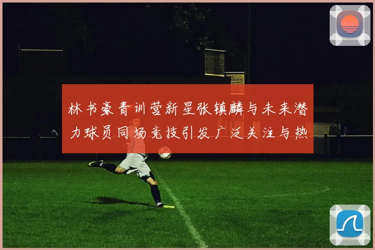 林书豪青训营新星张镇麟与未来潜力球员同场竞技引发广泛关注与热议